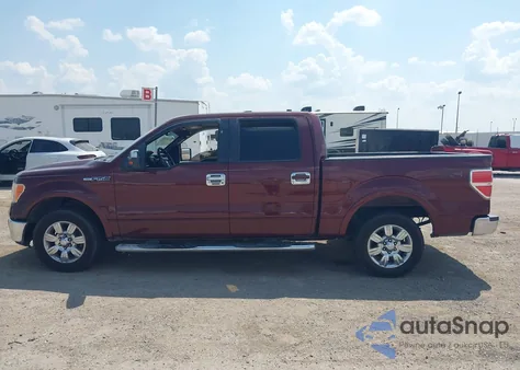 2009 Ford F-150 King Ranch/Lariat/Platinum/Xl/Xlt z USA, uszkodzony, nr VIN 1FTPW12V69FB05633